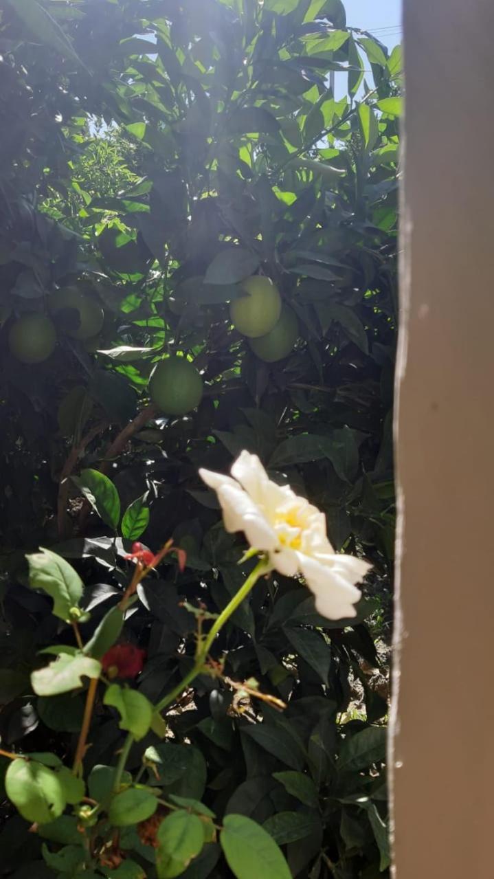 Guest House Emi Μπεράτ Εξωτερικό φωτογραφία
