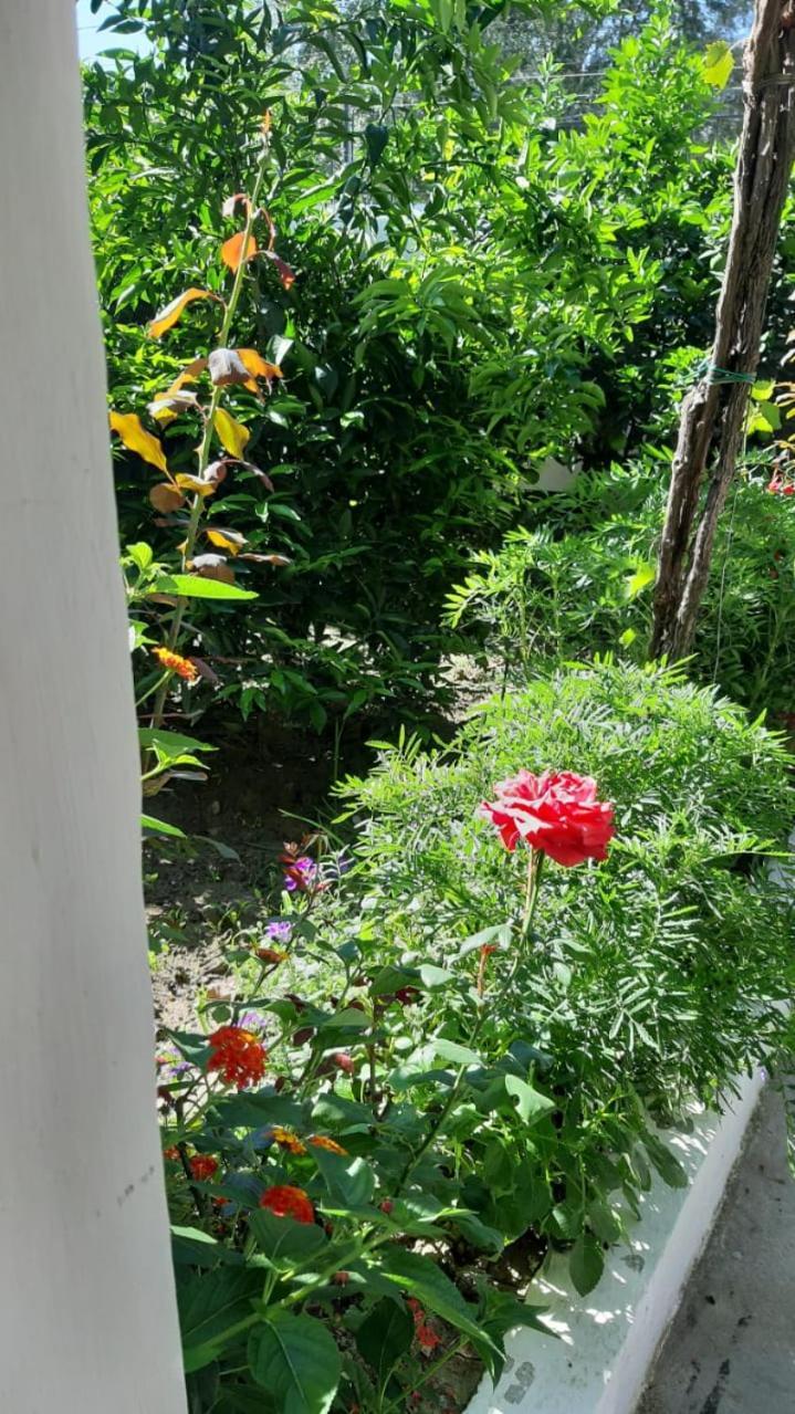 Guest House Emi Μπεράτ Εξωτερικό φωτογραφία
